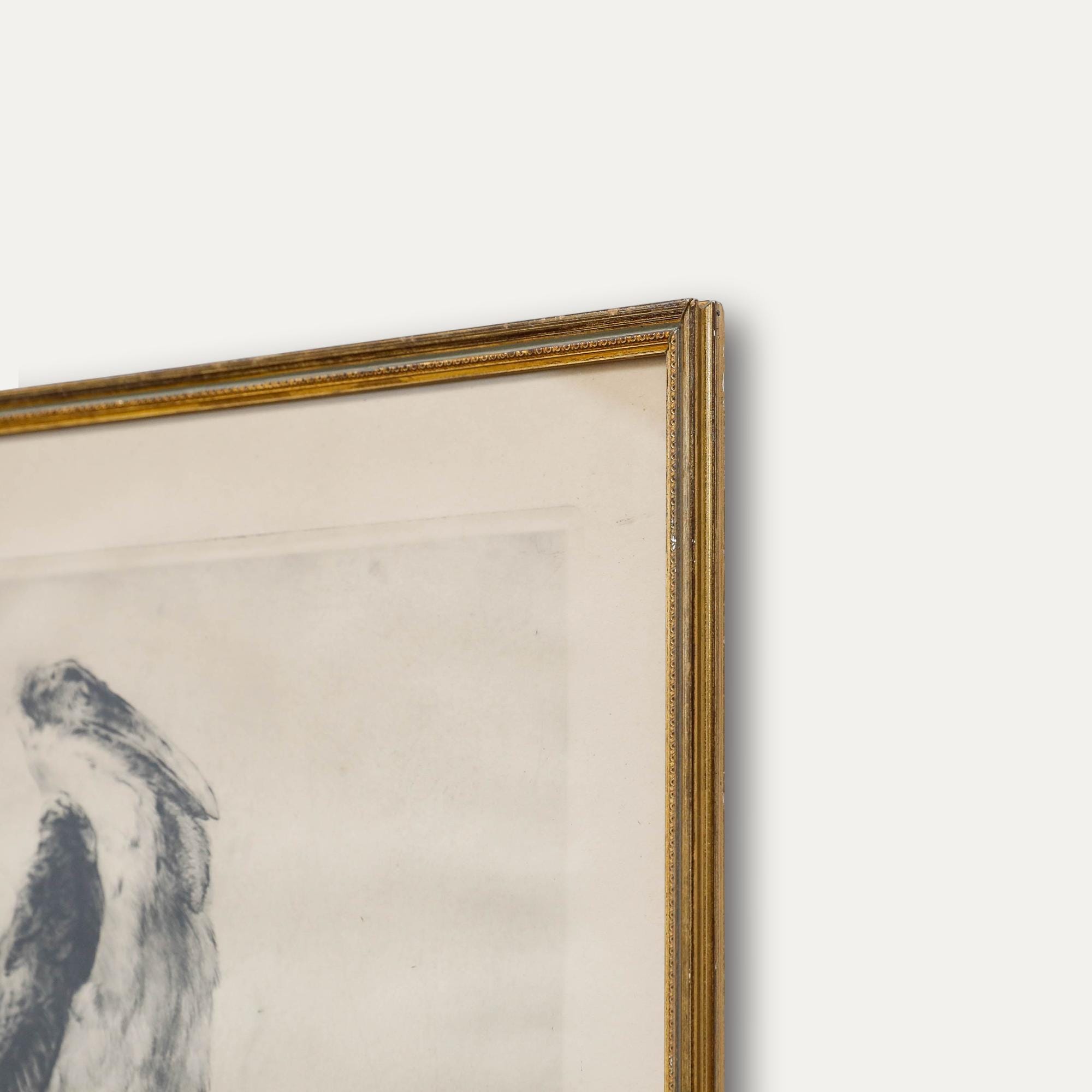 Kurt Meyer-eberhardt (1895-1977) - Early 20th Century Etching, the