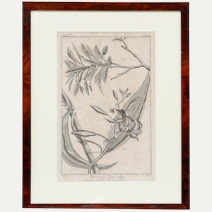 Robert Béenard (1734-1794) - 18th Century Engraving, Le Cirier & Le Vanille Original Vintage Antique Artwork