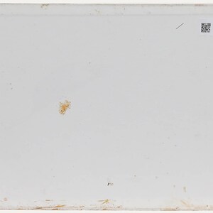 Pauline Plummer (b.1933) - Contemporary Oil, Fruit Bowl & White Flowers Original Vintage Antique Artwork image 3