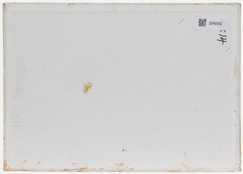 Pauline Plummer (b.1933) - Contemporary Oil, Fruit Bowl & White Flowers Original Vintage Antique Artwork image 3