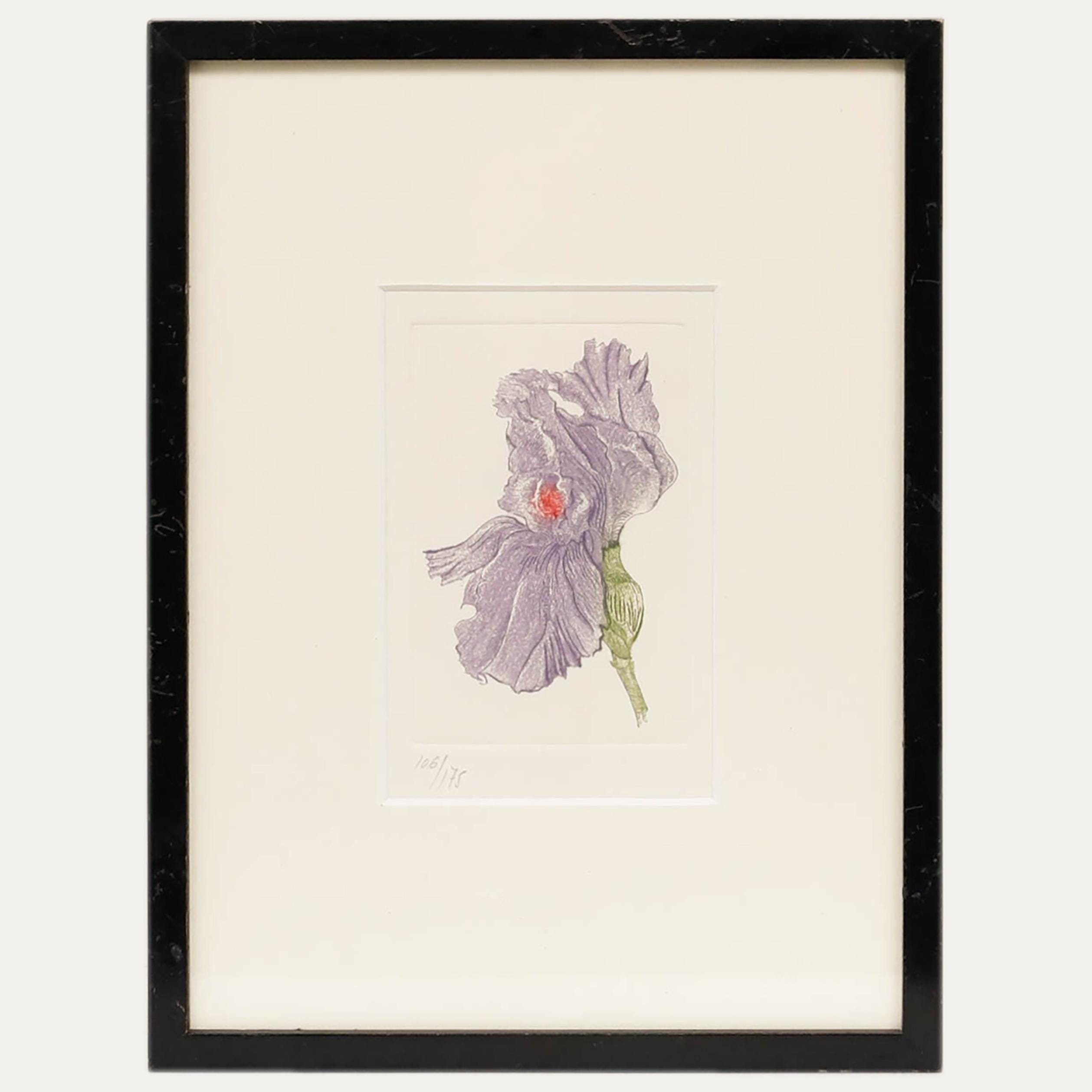 Framed Contemporary Etching - Purple Iris Original Vintage Antique
