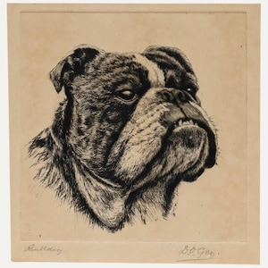 David Gee - Early 20th Century Etching, Bulldog Original Vintage Antique Artwork