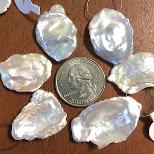 May include: A collection of seven white, iridescent, natural freshwater pearls, each with a unique shape and size. The pearls are strung on thin wires and are displayed next to a US quarter for scale.