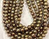 Articolo da questo negozio