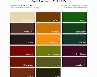 Colour Analysis Swatches - True Autumn Palette