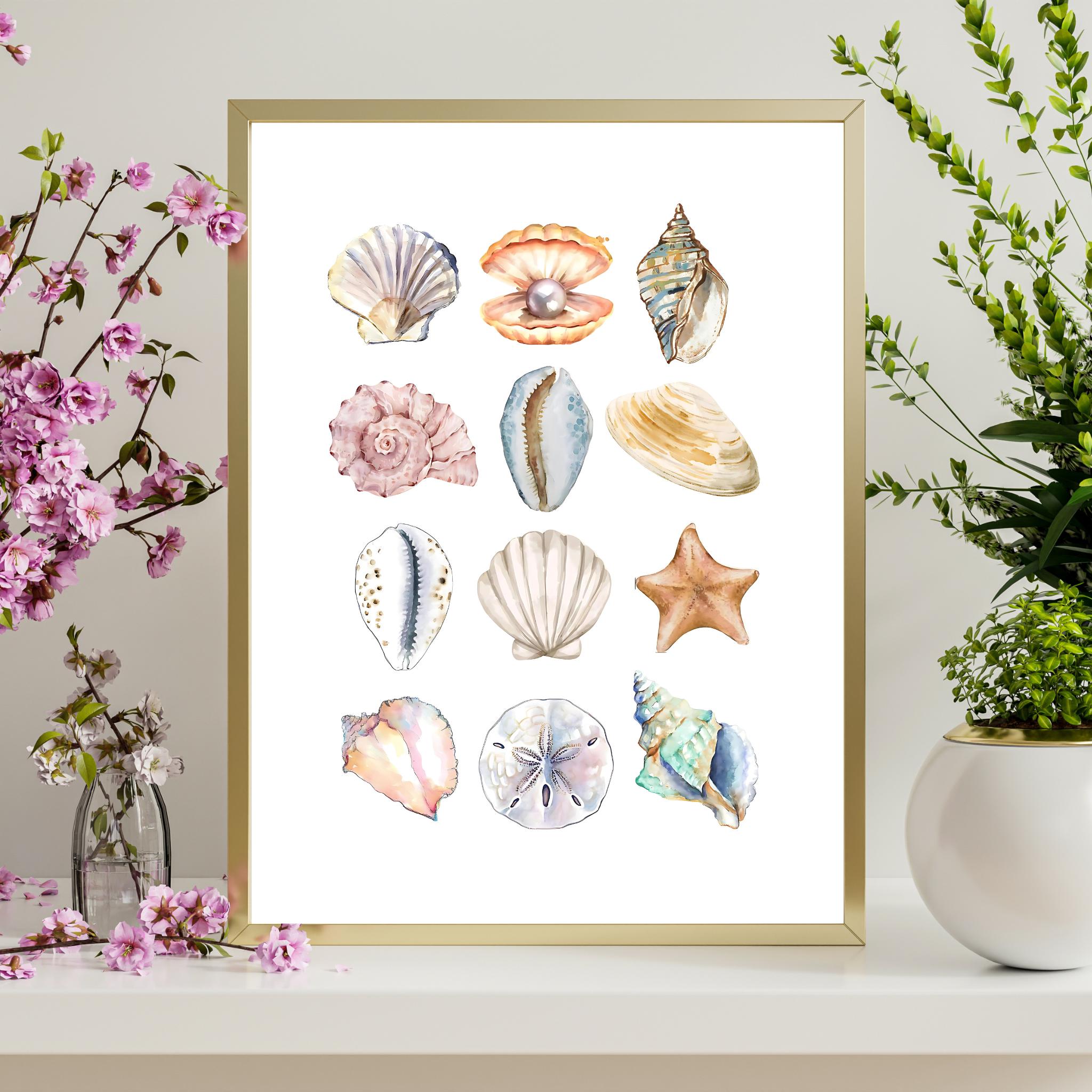 Seashell Print, Coquette Beach House, Coastal Print, Seashell Poster ...
