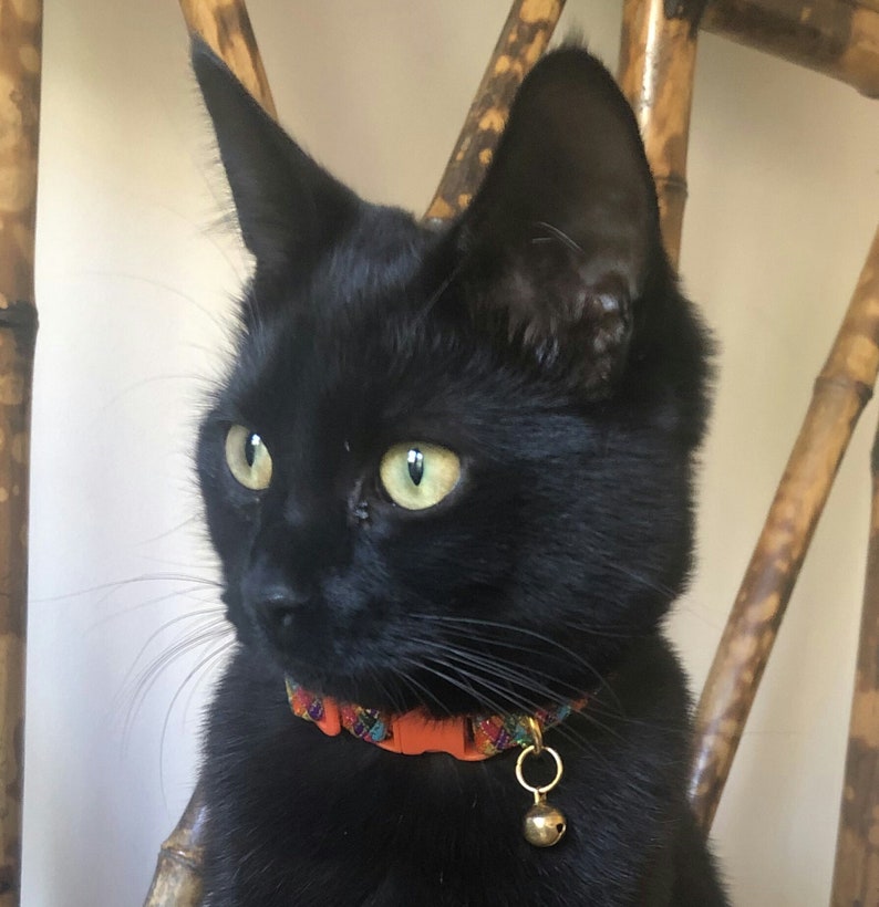 Designer Cat Collars With a Colourful Harlequin Pattern Etsy