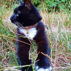 Kitten Collar / Small Cat Collar in Striking Harlequin Colours image 3