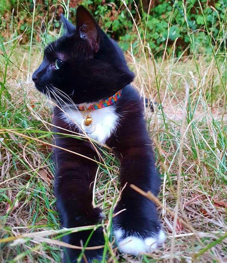 Kitten Collar / Small Cat Collar in Striking Harlequin Colours image 3