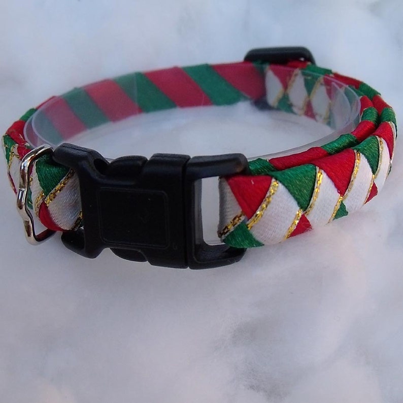 breakaway collar cat breakaway collar cat