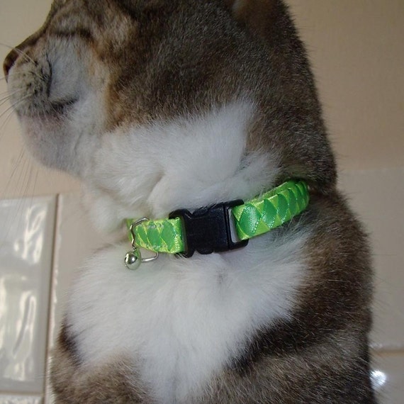 Etsy breakaway cat collars top