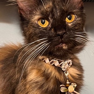 Cat Collar Designer Breakaway Brown Tartan Effect and Rose Embellishment image 6