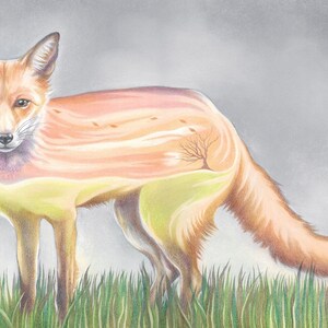 Surreal Fox Drawing Giclee Art Print image 2