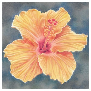Hibiskus Blume Gruß, Karte - "Valentinstag Karte, Blumen Kunst Karte, schöne Kunst Karte."