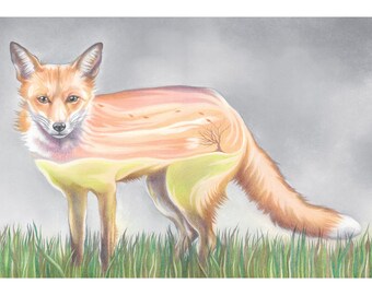 Surreal Fox Drawing - Giclee Art Print