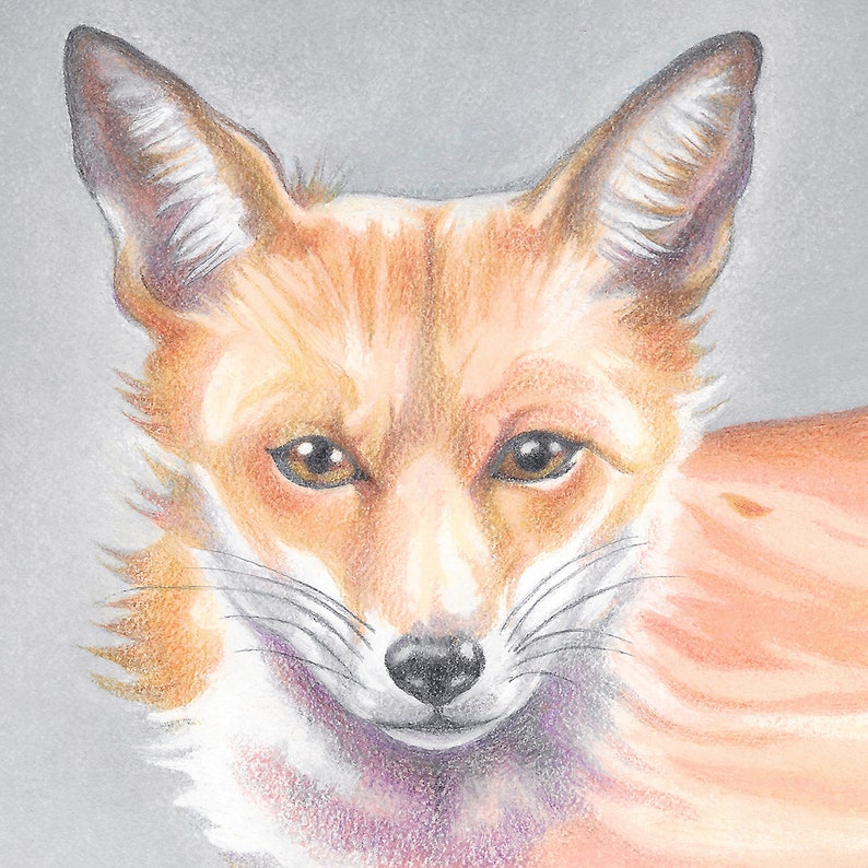 Surreal Fox Drawing Giclee Art Print image 3