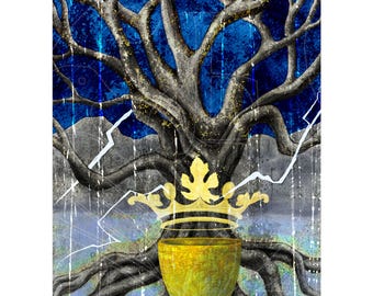 Fig-King of Cups