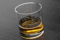 Tallahassee, FL City Map Rocks Glass | Engraved Whiskey Glass (11oz) | Etched Bourbon Glasses | Housewarming Gift | Gifts for Him