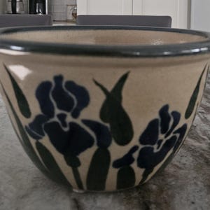 Puede incluir: Un cuenco de cerámica con exterior beige y borde azul oscuro. El cuenco está decorado con diseños de flores de iris azul oscuro y hojas verdes. El cuenco probablemente se utiliza para servir o exhibir.