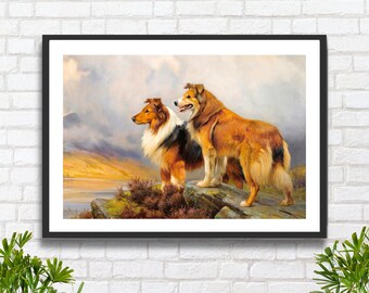 Original Collie Vintage Dog Print 1960 – R. S. Scholz Rough Collie