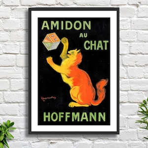 Leonetto Cappiello 'Amidon Au Chat' (Cat Starch) poster vintage art noveau della cucina francese, stampa giclée o stampa giclée incorniciata. Regalo ideale.