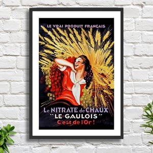 Leonetto Cappiello Vintage französisches Werbeplakat 'Le Nirate de Chaux. Le Gaulois. C'est de l'Or!' Druck/mit Rahmen.