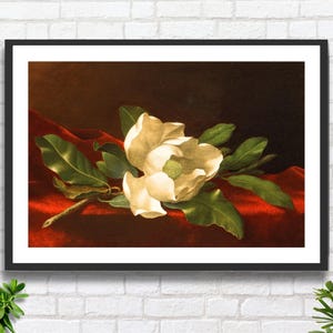 Martin Johnson Heade 'Magnolia', magnolia bianca su sfondo rosso, natura morta con fiori, stampa giclée floreale o stampa incorniciata. Ideale come regalo di compleanno.
