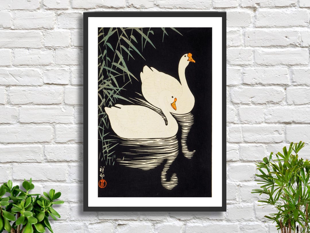 Ohara Koson 'white Chinese Geese Swimming by Reeds' Japanese Art, Black ...
