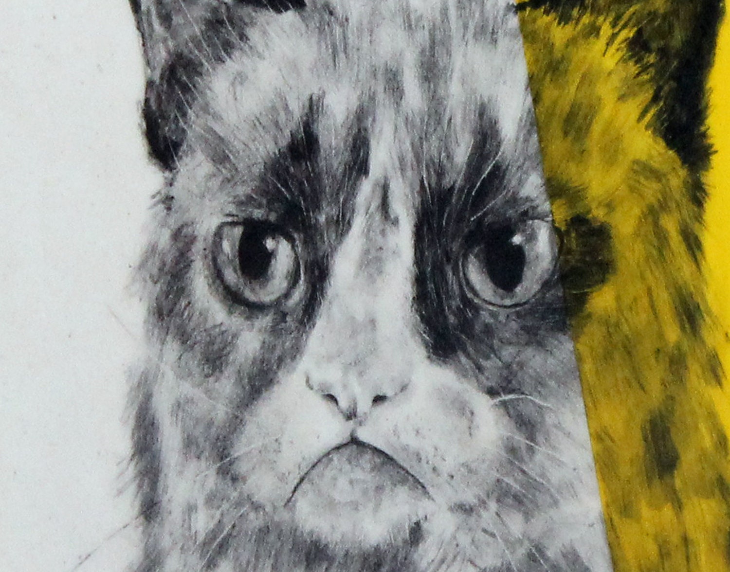 Hand Painted Tard the Grumpy Cat Portrait Wall Tile Yellow - Etsy