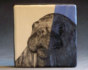 Hand Painted Walrus Portrait Wall Tile Baby Blue