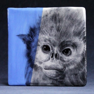 Puede incluir: Un azulejo de cerámica azul y blanco con un dibujo en blanco y negro de la cara de un mono.