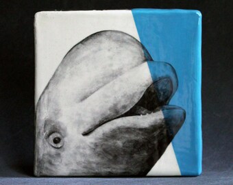 Hand Painted Beluga Whale Portrait Wall Tile Turquoise