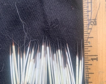 May include: Close-up of a collection of approximately 30 white and black quills, measuring about 1 inch in length, arranged in a row on a black fabric background.