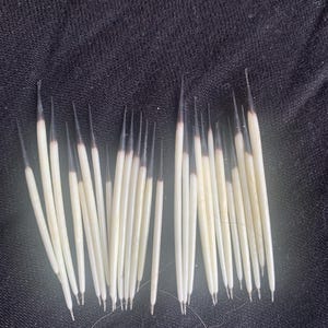 May include: A collection of porcupine quills, each with a creamy white body and a dark, pointed tip. The quills are arranged against a dark, textured background, showcasing their natural form and detail.