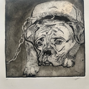 Op de afbeelding: Zwart-wit ets van een hond met een ketting om zijn nek. De hond ligt met zijn kop op zijn poten. De ets is gesigneerd met "A.P."