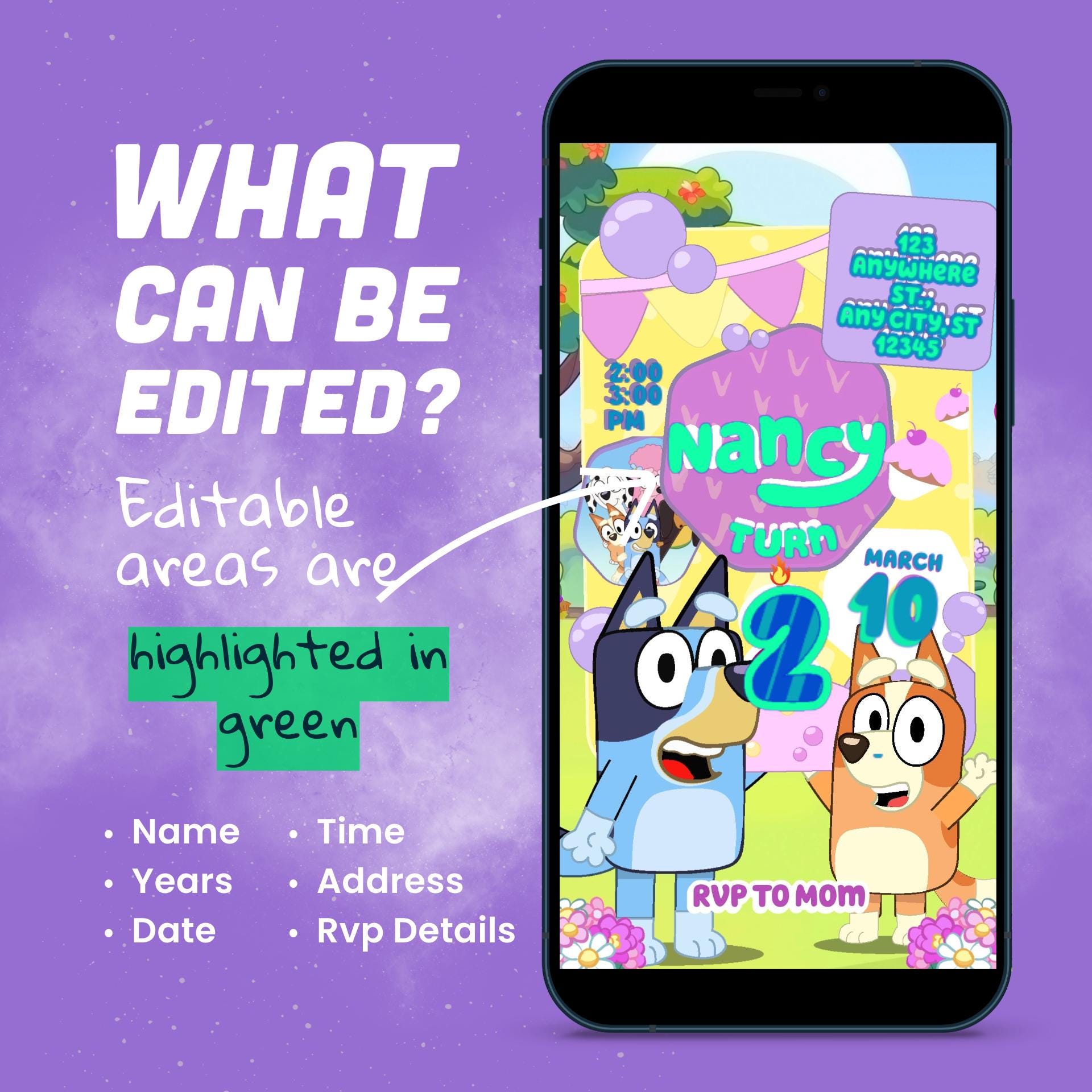 Personalized Bluey Video Invitation