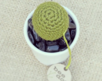 Amigurumi Crochet Cactus - Short