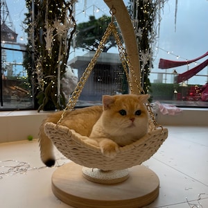 Cat Cradle & Sratching post