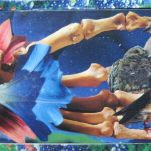 Box of Bones 5&quot;x7&quot; Collage Greeting Card
