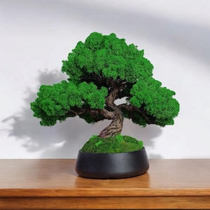 Handmade bonsai, Artificial bonsai,  tree made of stabilized moss, Artificial tree, ornamental tree, stabilized moss, home decor