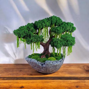 Fake bonsai tree, Moss Bonsai, Artificial bonsai, Stabilized bonsai tree, Artificial tree