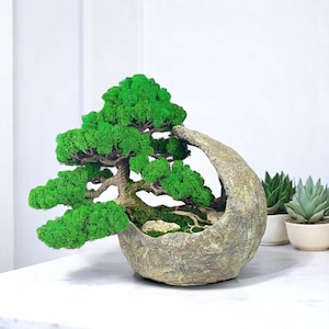 Moss bonsai tree in concrete pot, realistic artificial bonsai tree made from preserved moss, Driftwood fake bonsai pot, bonsai moss
