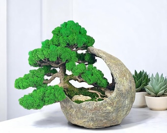 Moss Bonsai Tree: Handmade Stabilized Moss in Concrete Pot