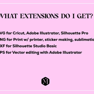 May include: Pink background with black text listing the file extensions included in a digital download: SVG, PNG, DXF, and EPS. The text also describes the uses for each file type. The text "WHAT EXTENSIONS DO I GET?" is at the top of the image. A black letter "M" in a circle is at the bottom of the image.