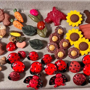 May include: A collection of assorted decorative buttons featuring various shapes including brown squirrels, orange carrots, red ladybugs, yellow sunflowers, brown acorns, autumn leaves, owls, a brown watering can, and a yellow seed packet with the text SEEDS.