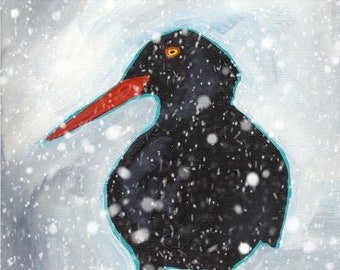 oystercatcher in the snow - HOLIDAY ART CARD - ecofriendly