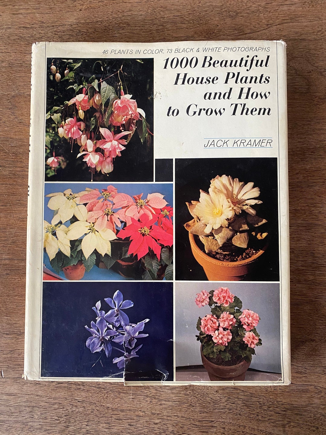 Vintage Plant Book / House Plant Guide / Hardcover Flower Book