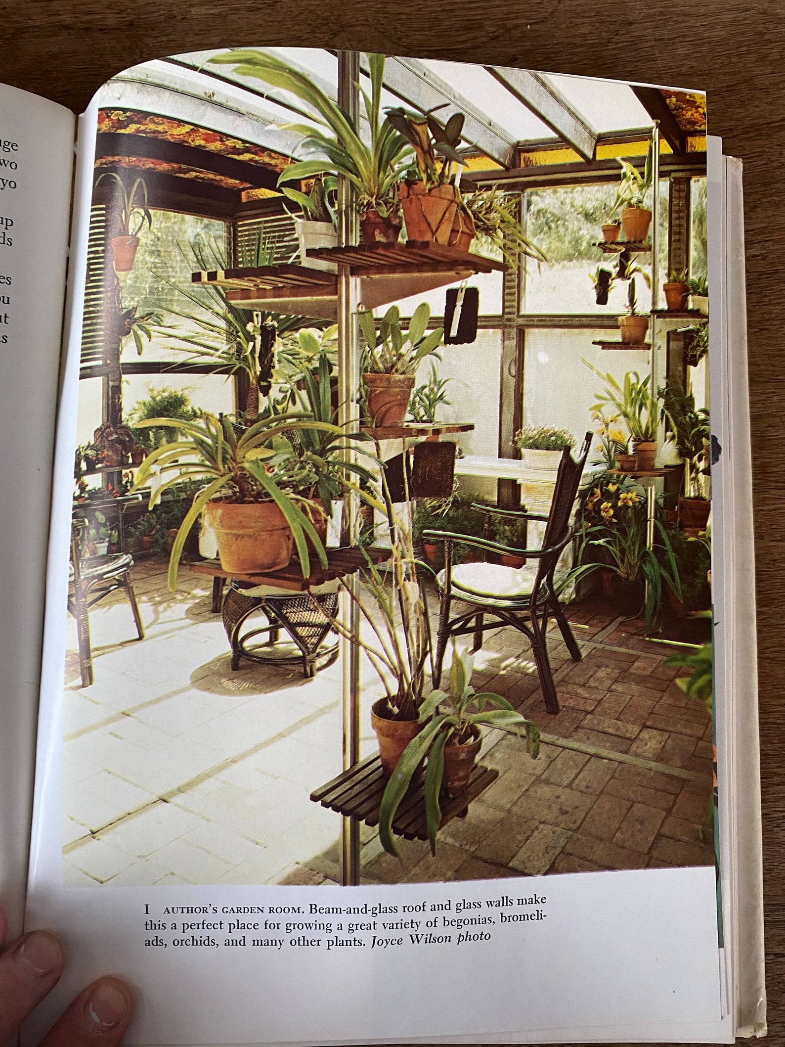 Vintage Plant Book / House Plant Guide / Hardcover Flower Book Etsy