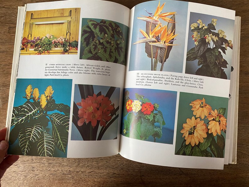Vintage Plant Book / House Plant Guide / Hardcover Flower Book Etsy