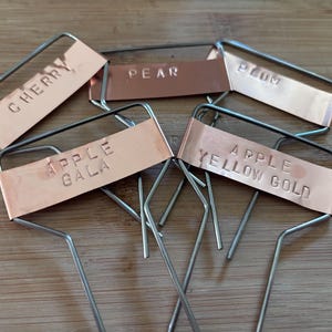 以下が含まれることがあります： ワイヤーの茎が付いた銅製の植物マーカーが5つ。マーカーには、「チェリー」、「ペア」、「プラム」、「アップルガラ」、「アップルイエローゴールド」とラベル付けされています。